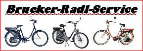 BRUCKER-RADL-SERVICE-Logo